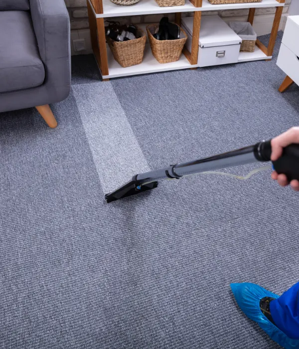 Why Carpet Stains Come Back After Cleaning