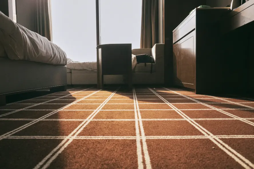 Fresh professionally cleaned carpet