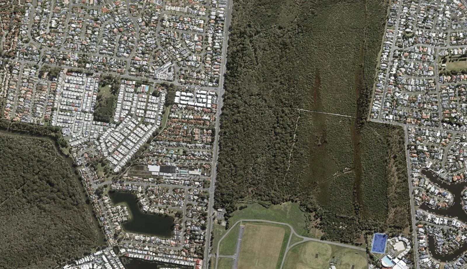 Aerial view of homes and properties in Coombabah, Queensland