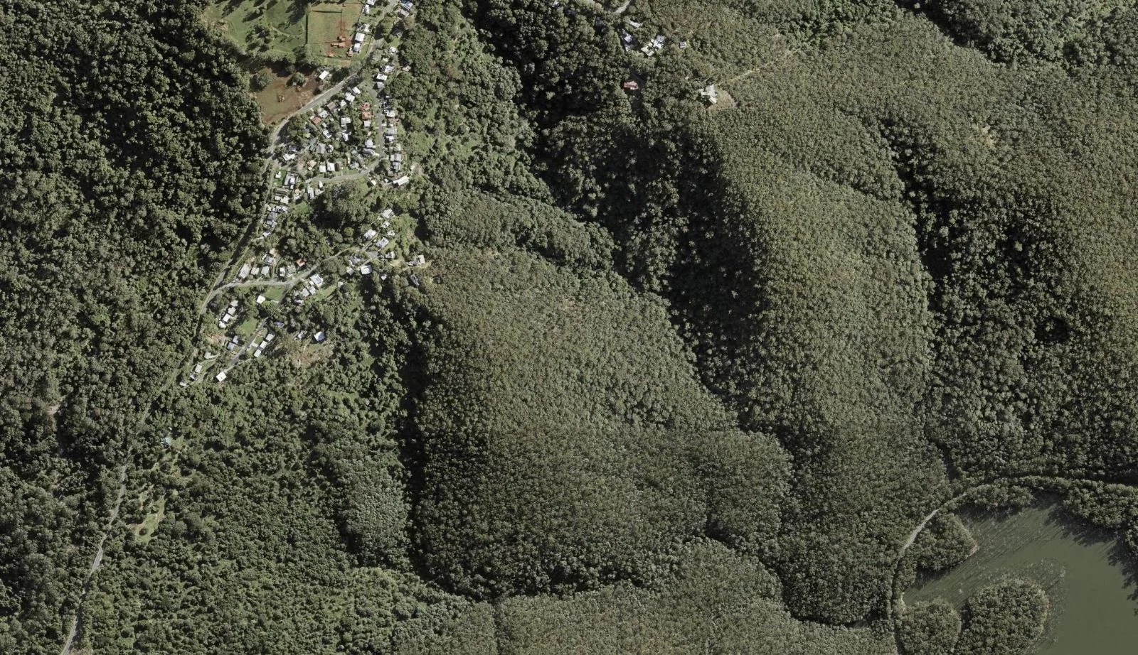 Aerial view of homes and properties in Lower Beechmont, Queensland