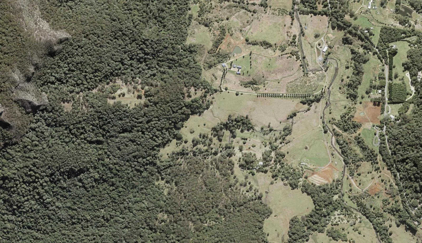 Aerial view of homes and properties in Natural Bridge, Queensland