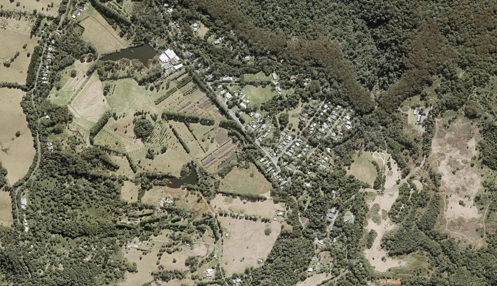 Aerial view of homes and properties in Springbrook, Queensland