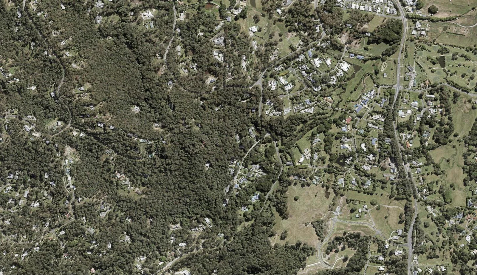 Aerial view of homes and properties in Tallebudgera, Queensland