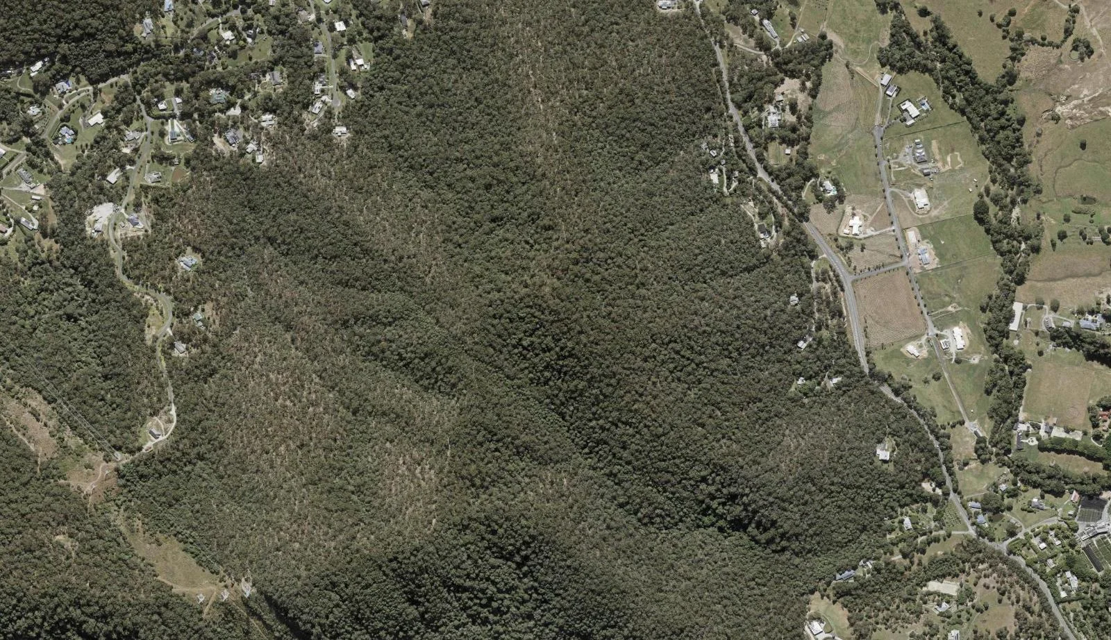 Aerial view of homes and properties in Wongawallan, Queensland